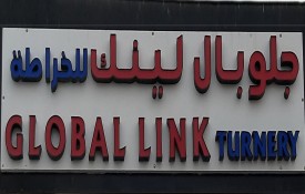 Global Link Turning Workshop