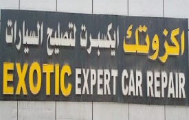 Exotic Expert Auto Repair Workshop