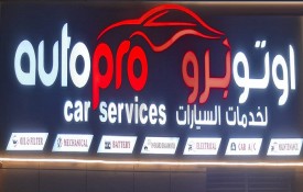 Auto Pro Car Services (Auto Repair Workshop)