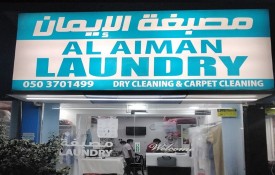 Aleman Laundry