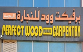 Perfect Wood Manual Carpentry